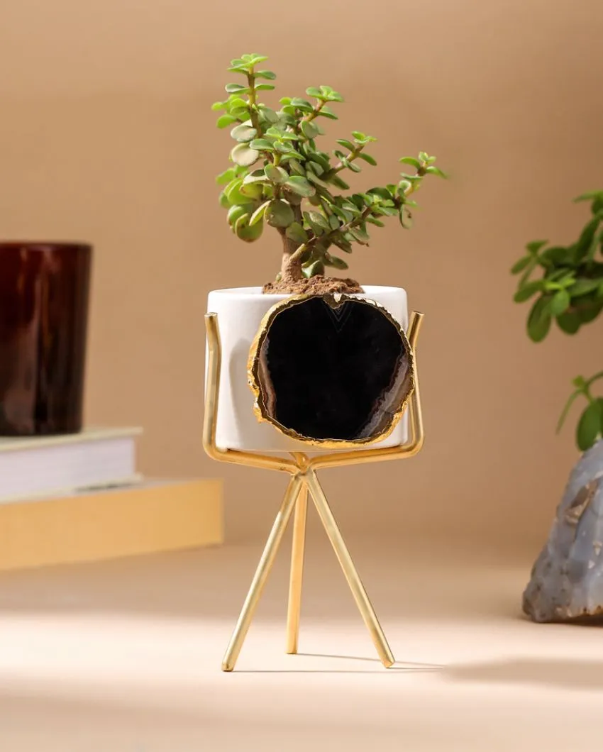 Agate Ceramic Planter With Stand | Planter Only Plant Not Included | 3 x 5 inches