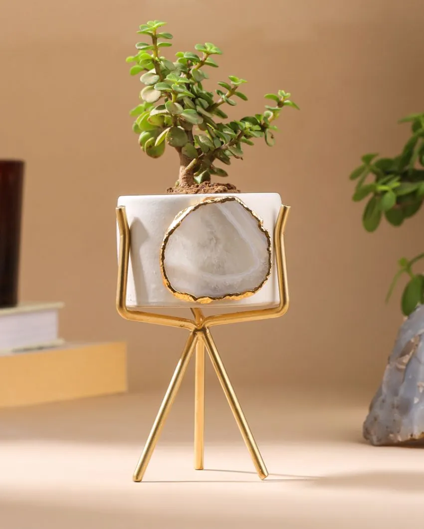 Agate Ceramic Planter With Stand | Planter Only Plant Not Included | 3 x 5 inches