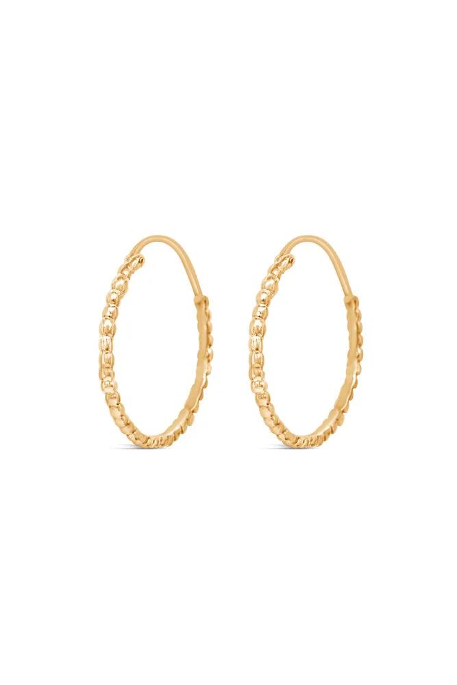 Hoops ~ Caviar Large in Gold