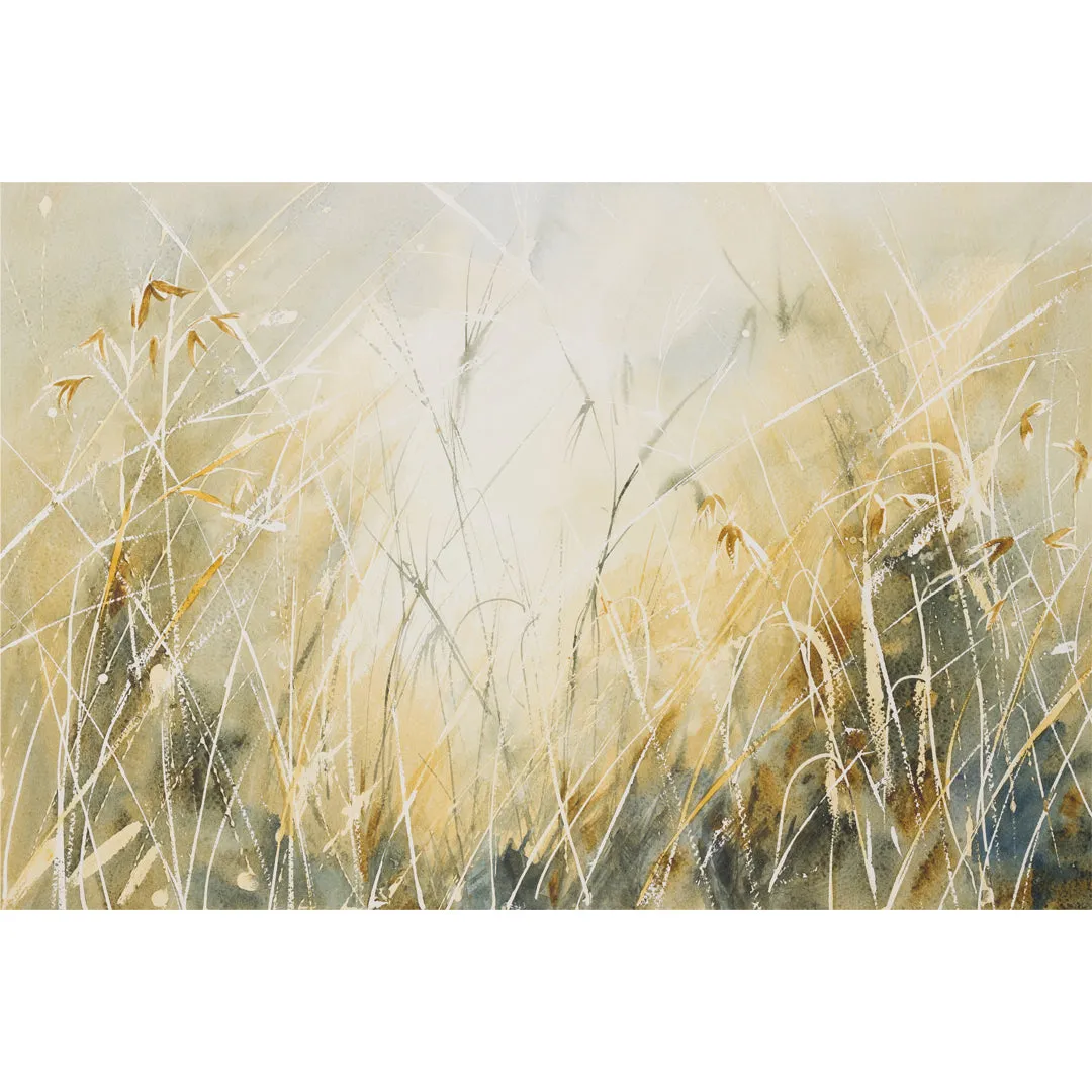 Prairie Grass